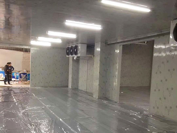 某科技集团有限公司